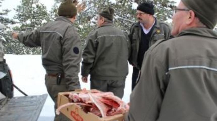 Karab&uuml;k'te Yaban Hayvanları İ&ccedil;in Doğaya Yem Bırakıldı