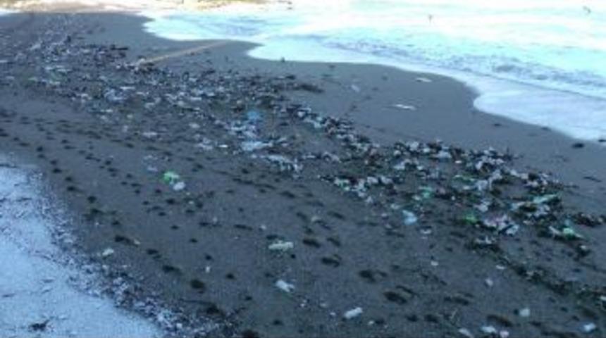 Dev Dalgalar Sonucunda Ak&ccedil;akoca Sahili &Ccedil;&ouml;pl&uuml;ğe D&ouml;nd&uuml;