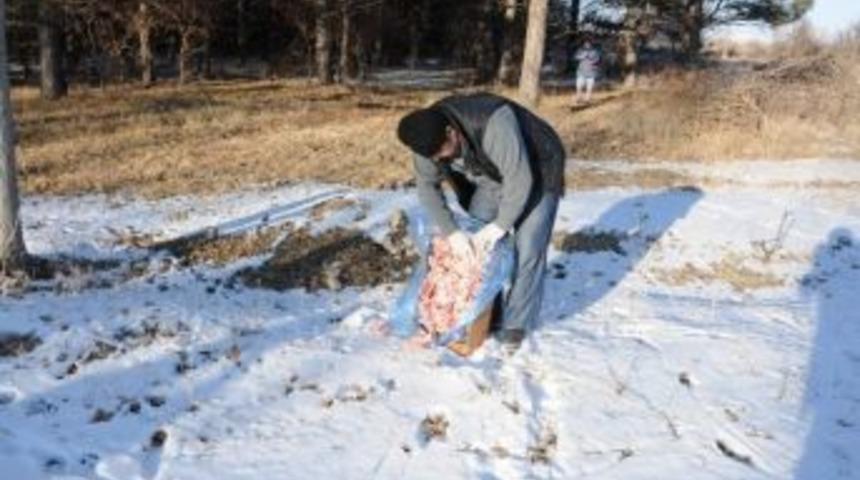 Yiyecek Bulmakta Zorlanan Hayvanlar İ&ccedil;in Doğaya Yem Bırakıldı