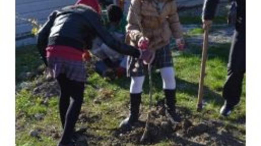 Dalamanlı &Ouml;ğrencilerden Yeşile Anlamlı Katkı