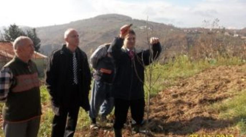 Gıda, Tarım Ve Hayvancılık Müdürlüğü Kasım Ayını Dolu Dolu Geçirdi