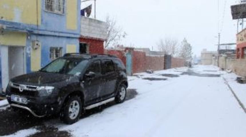 Yavuzeli, Beyaz &Ouml;rt&uuml;ye B&uuml;r&uuml;nd&uuml;