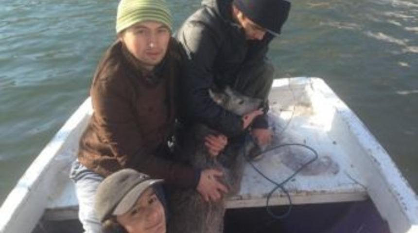 Boğulmak &Uuml;zere Olan Karacayı Gen&ccedil;ler Kurtardı