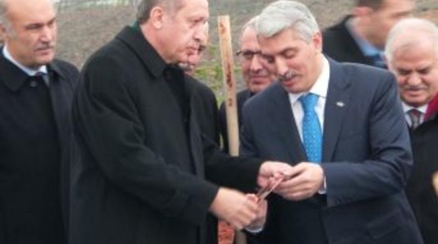 Başbakan Erdoğan'dan Gezi Eylemcilerine "ağa&ccedil;lı" G&ouml;nderme