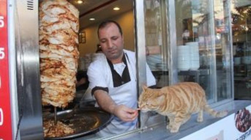Minnoş&rsquo;un D&ouml;ner Tutkusu