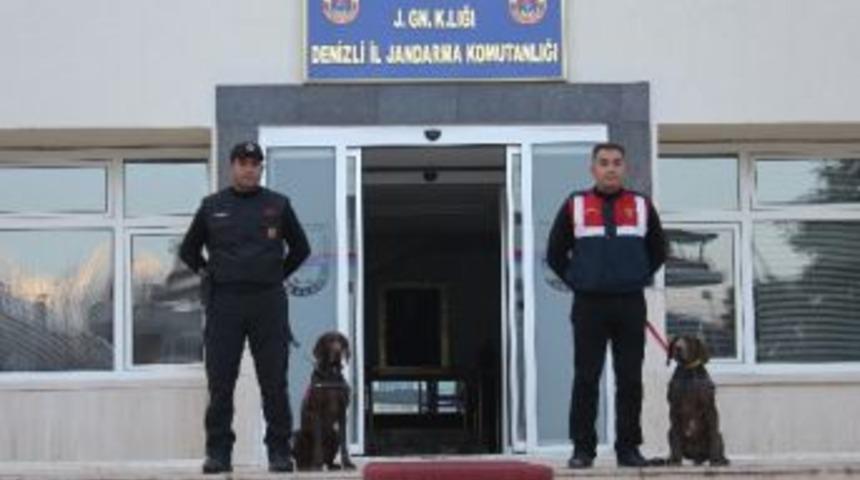 "vaşak" Ve "ahir", Jandarmanın G&ouml;z Bebeği