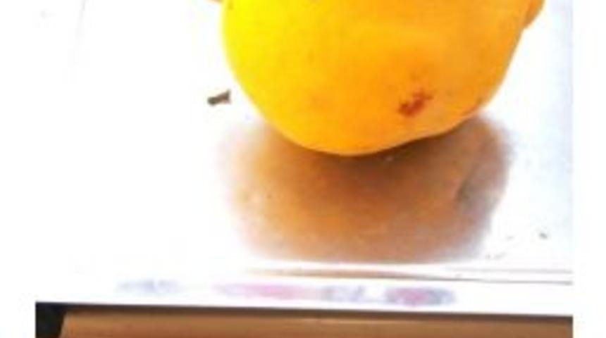 1 Kiloluk Ayva G&ouml;renleri Şaşırtıyor