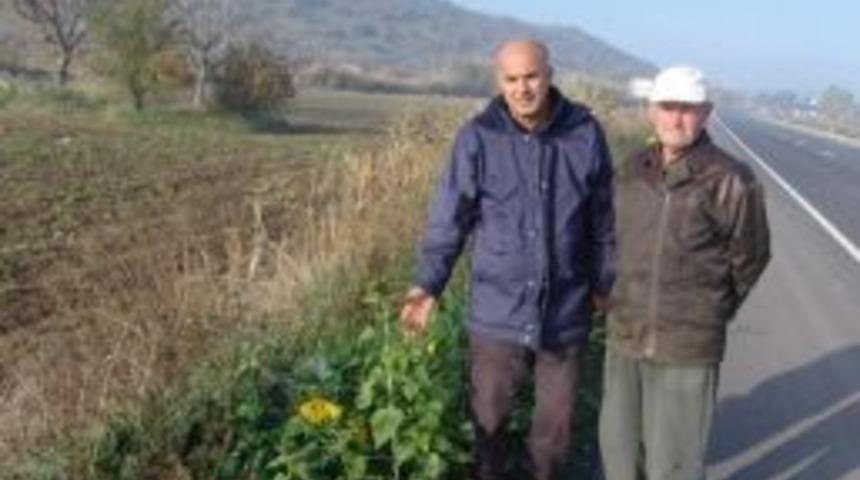 De&uuml; &Ouml;ğretim &Uuml;yesi Prof. Dr. &Ccedil;etin: "ekolojik Kaos Kapıda"