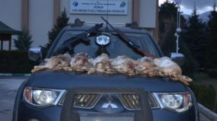 Projekt&ouml;rle Tavşan Avlayanlara Ceza Yağdı