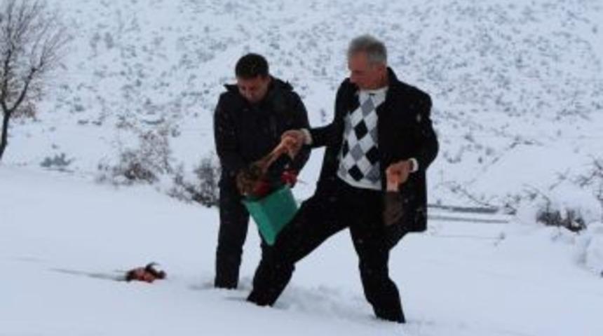 Yabani Hayvanlar I&ccedil;in Doğaya Yem Bırakıldı