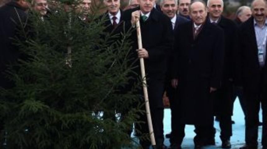 Erdoğan: Mesele Yeşili Korumaksa, 37 Milyon Dekar Ağa&ccedil;landırma Yaptık