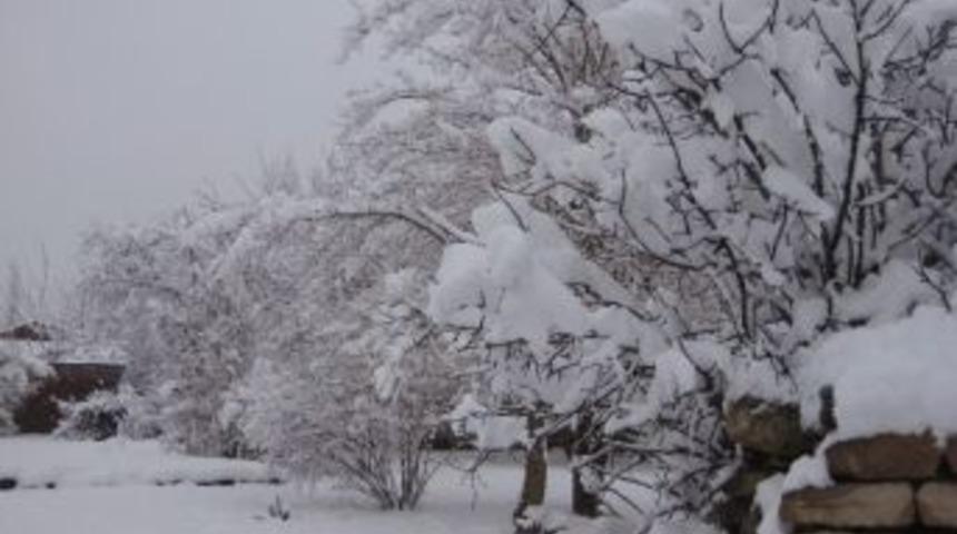 Lice'de Kartpostallık Kar Manzaraları