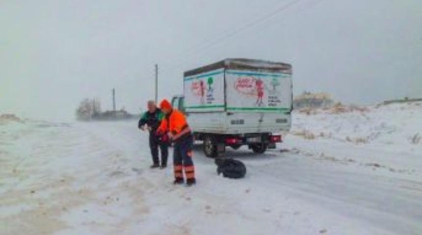Şehitkamil Belediyesi Sokak Hayvanlarına Sahip &Ccedil;ıktı