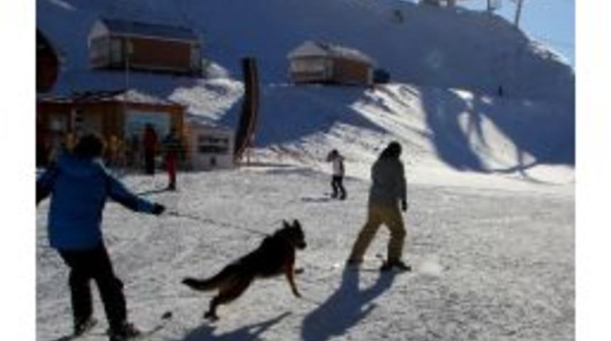 K&ouml;peğiyle Kayan Kayak Antren&ouml;r&uuml; İlgi Odağı Oldu