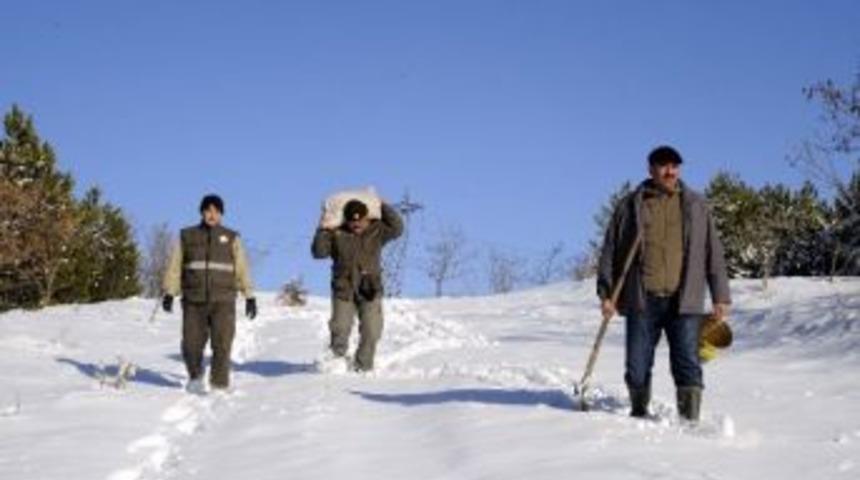 Bilecik'te Yaban Hayvanları İ&ccedil;in Doğaya Yem Bırakıldı