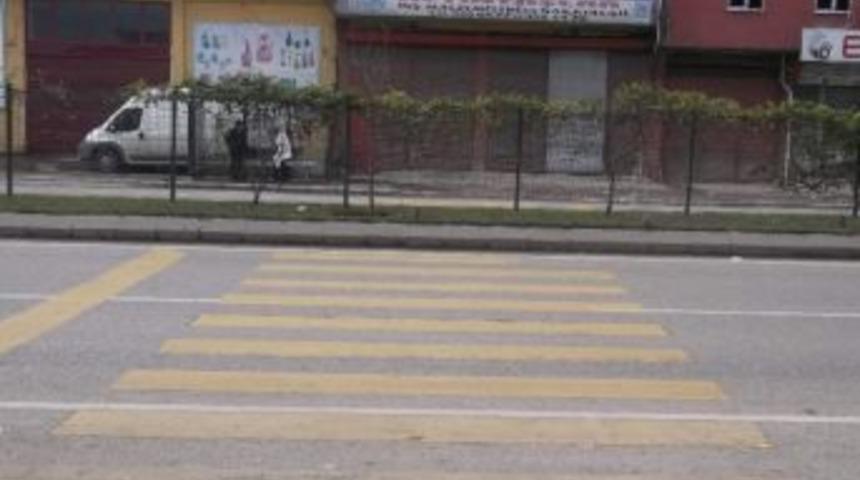 Trabzon&rsquo;da İlgin&ccedil; G&ouml;r&uuml;nt&uuml;