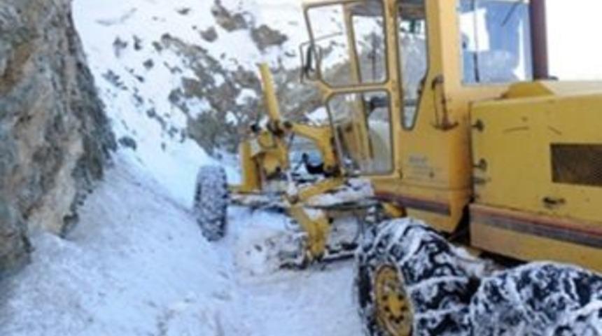 Kulp İl&ccedil;esinde Kar Nedeniyle K&ouml;ylere Ulaşım Sağlanamıyor