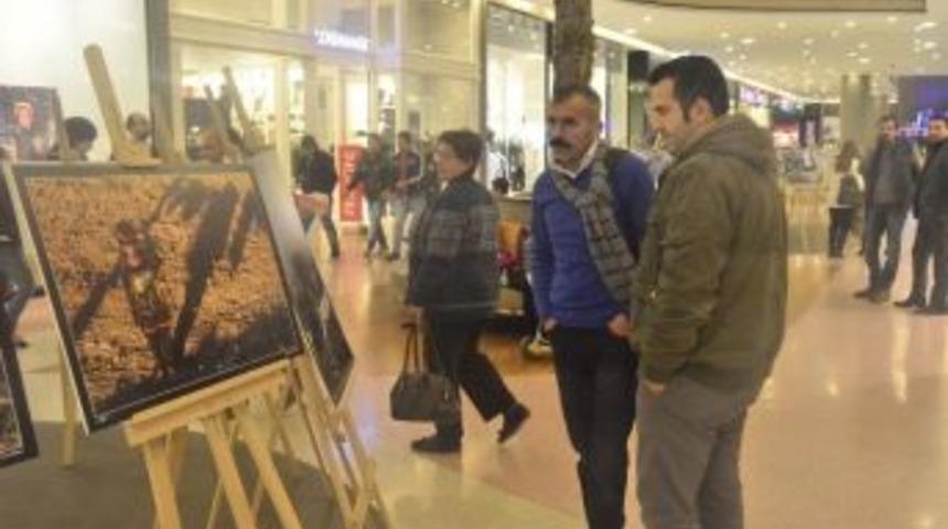 K&uuml;&ccedil;&uuml;k Bedenlerdeki B&uuml;y&uuml;k Y&uuml;k