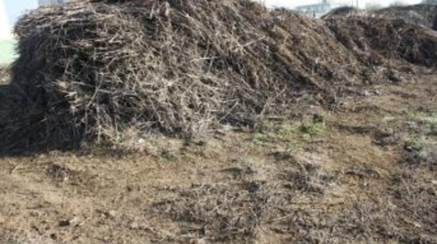 Pamuk &Ccedil;alısı Fakir Ailelerin Yakacakları Oldu