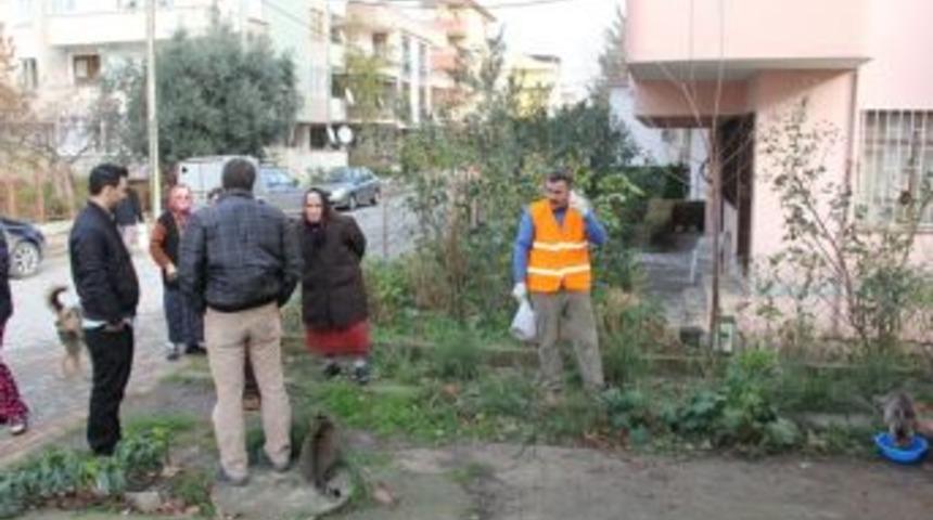 &Ccedil;iftlikk&ouml;y&rsquo;de sokak hayvanları kara kıştan korunuyor
