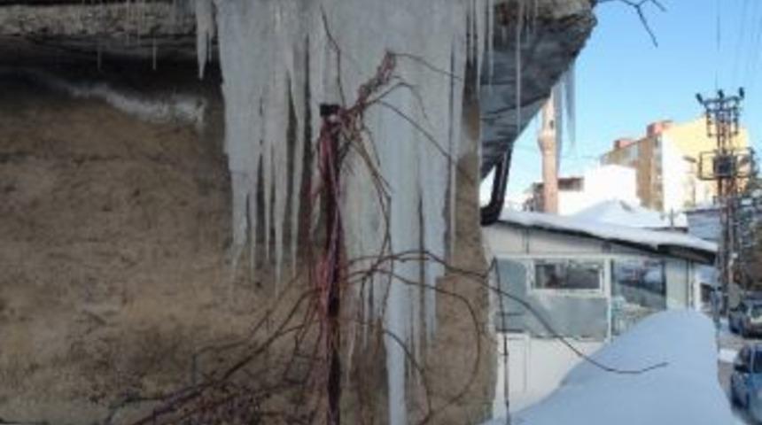 Yozgat Belediyesi Sokak Hayvanlarına Kışın Sıcak Yuva Sağladı