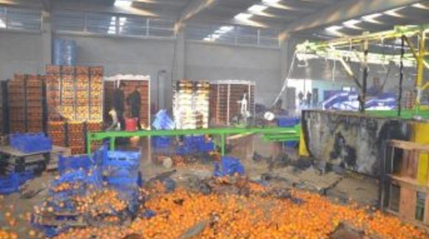 Adana'da Narenciye Paketleme Fabrikasında Yangın