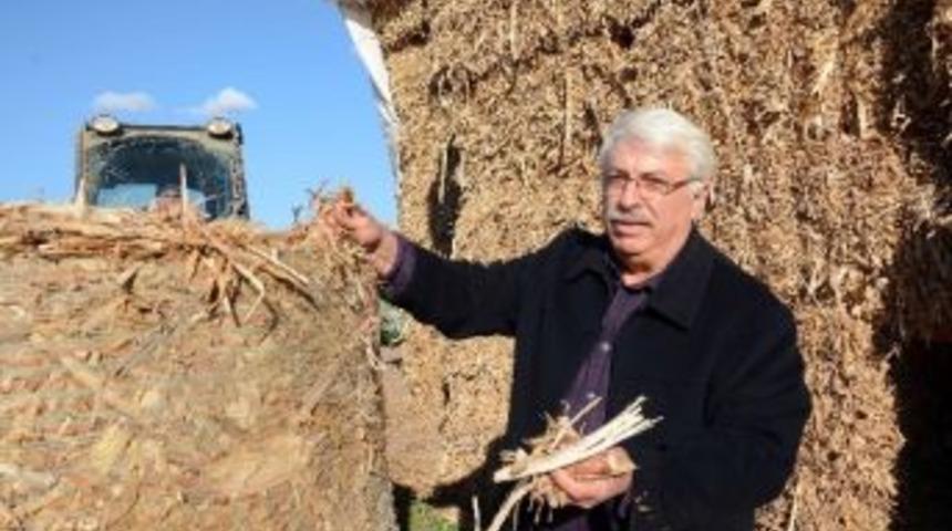 Hava Kirliliği Ve Soba Zehirlenmelerine Karşı Biyok&uuml;tle Yakıt &Ouml;nerisi