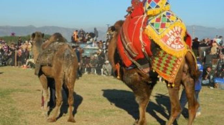 Develer Sınırteke Arenasında Kapıştı