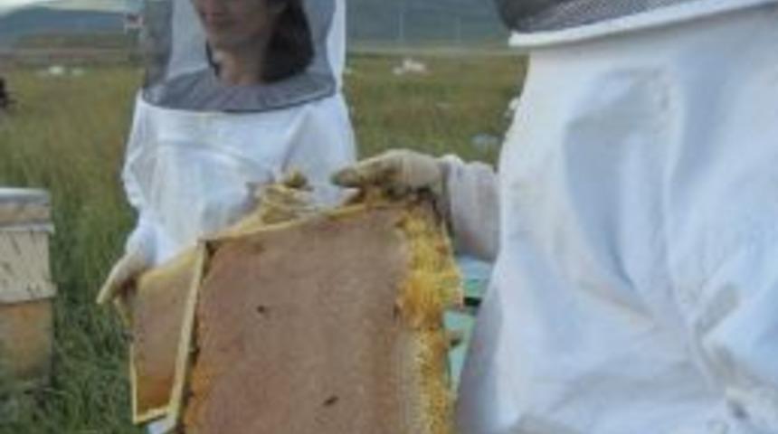 Muğla, Bal &Uuml;retiminde Liderliği Geri Aldı