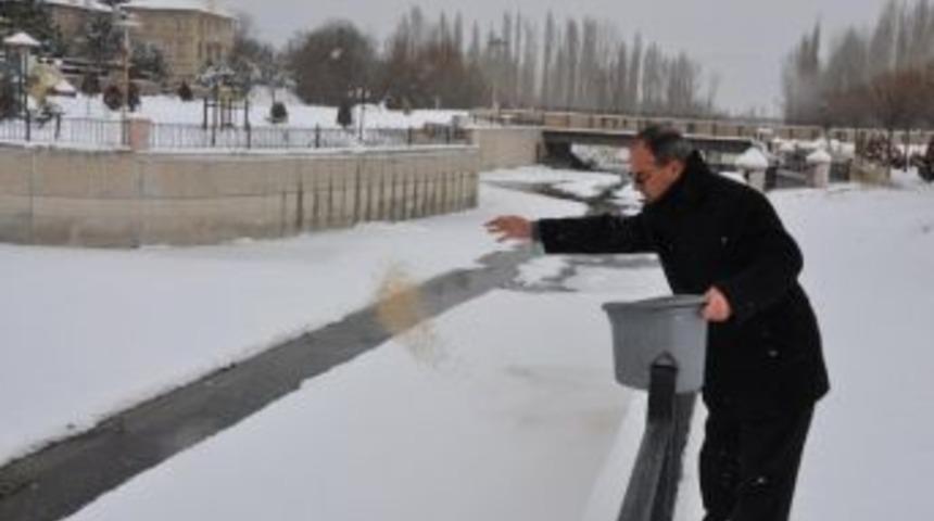 A&ccedil; Kalan Kuşlar İ&ccedil;in Yem
