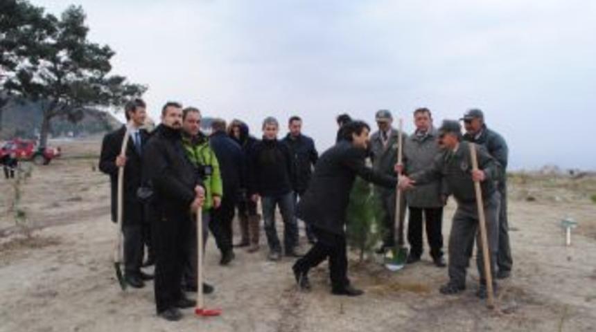 &Ccedil;anakkale'de Gazeteciler Hatıra Ormanı'na Yeni Fidanlar Dikildi