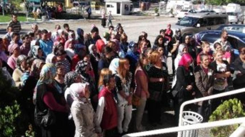 Giresun&rsquo;da İşkur 2 Bin 834 Kişiyi İstihdam Etti