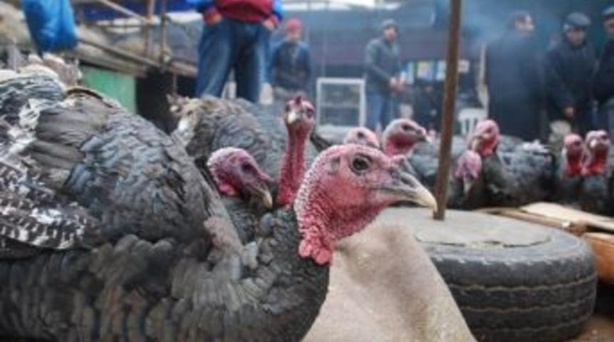 Yılbaşı Hindileri Pazarda G&ouml;r&uuml;c&uuml;ye &Ccedil;ıktı