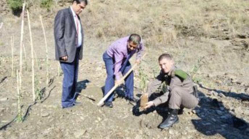 Alanya Cezaevi'nde Goji Berry &Uuml;retimine Ge&ccedil;ildi