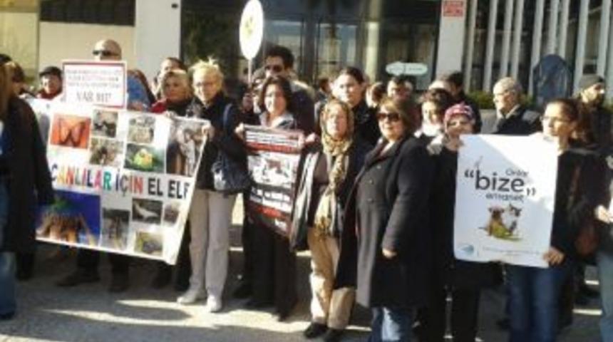 Ak Partili Tozan Da Hayvanseverlere Omuz Verdi