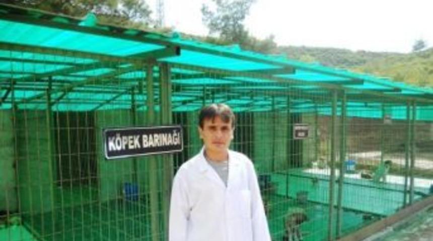 Bilecik'te "sokak Hayvanları Rehabilitasyon Ve Tedavi Merkezi &Ccedil;alışma Y&ouml;nergesi"