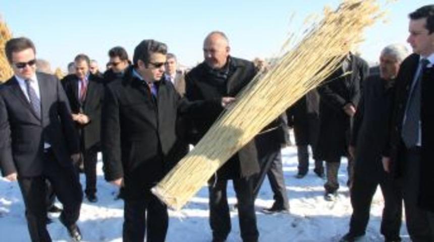 "Sultansazlığı&rsquo;nda Bilim Adamları I&ccedil;in Altyapı Oluşturulmalı"