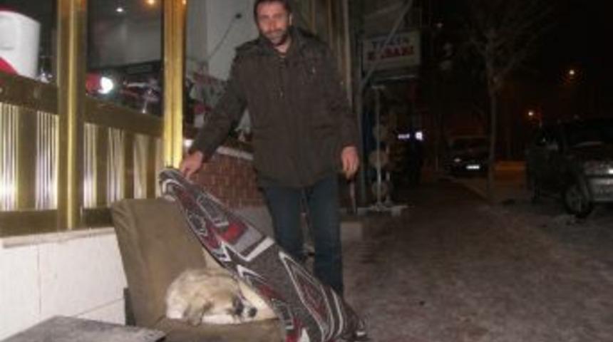 K&ouml;peğe Soğuktan Battaniyeli Koruma