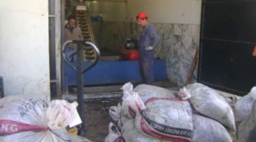 Aydın&rsquo;da Zeytin Karasuyuna Kafes Teller &Ccedil;ekilmeye Başlandı