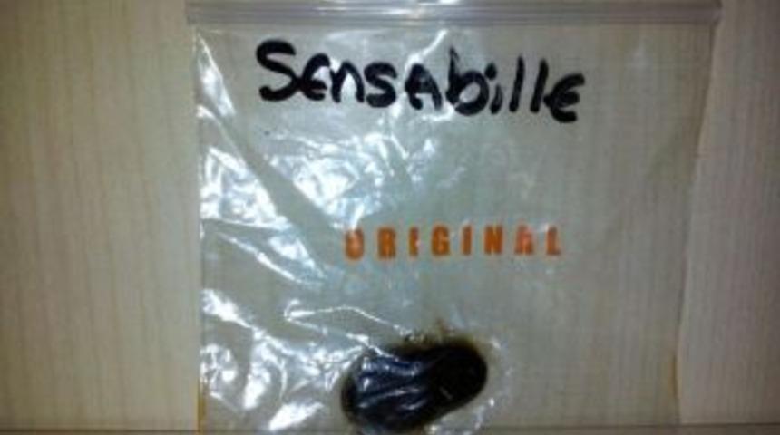 Yüksek Lisans Öğrencisi Genç Kız Uyuşturucudan Gözaltına Alındı