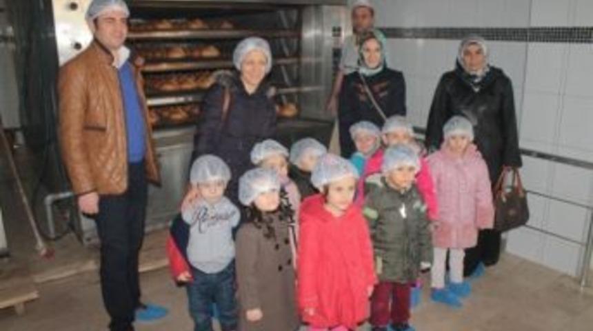 Minikler Ekmek Yapmayı &Ouml;ğrendi