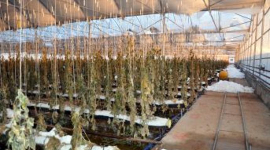 Kar Yağışı Seralara Da Zarar Verdi