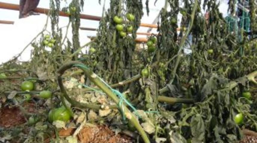 Kardan Etkilenen B&ouml;lgelerde Zarar Tespiti Yapıldı