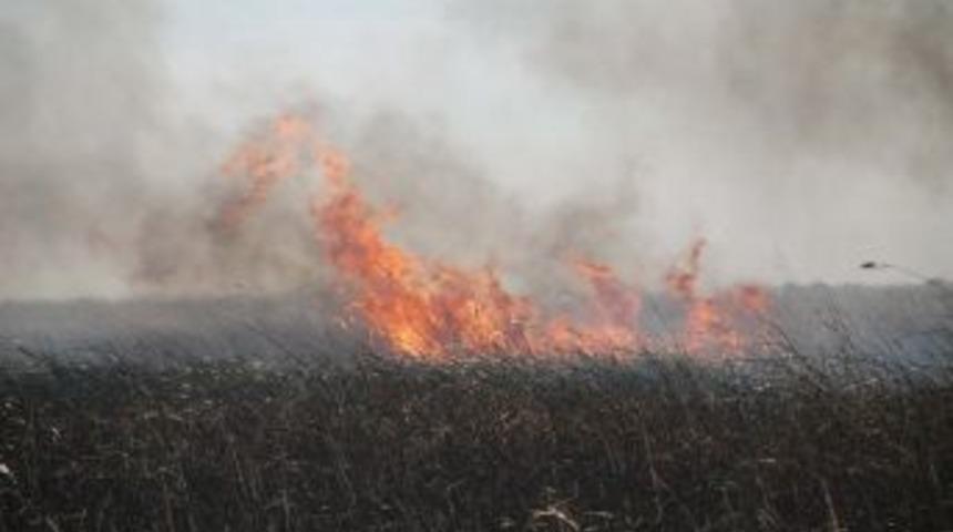 Kuş Cennetinde Yangın &Ccedil;ıktı