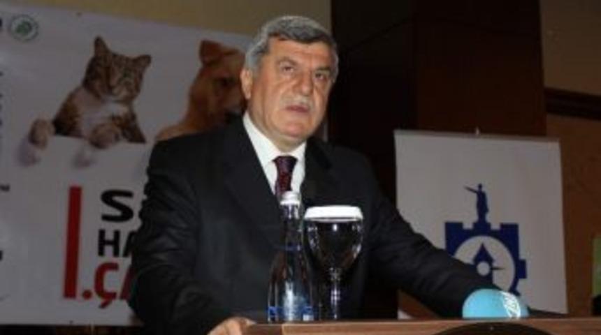 Kocaeli'de Sokak Hayvanları &Ccedil;alıştayı