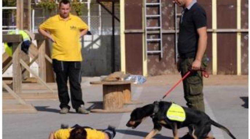 Sahipsiz K&ouml;pekler Uzman Kurtarma K&ouml;pekleri Olacak