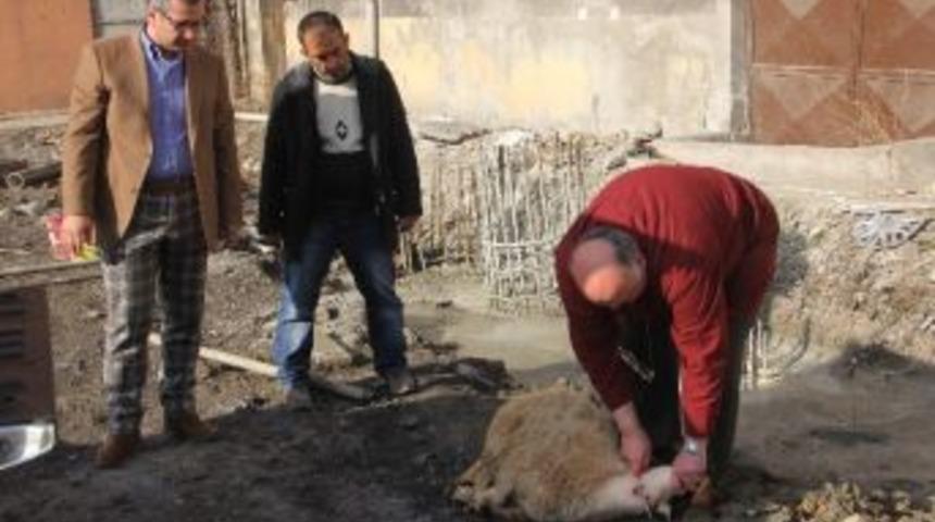 Yeni Belediye Binası İnşaatında Fore Kazıklar &Ccedil;akılıyor