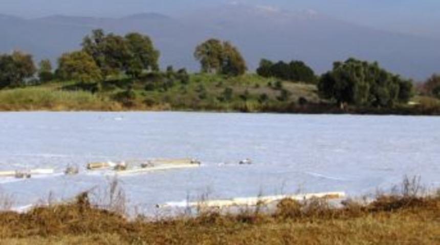 &Ouml;demiş'li &Uuml;retici G&uuml;z Patatesinde Kayıp İstemiyor