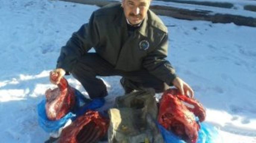 Avlanması Yasak Olan Dağ Ke&ccedil;isini Avladılar