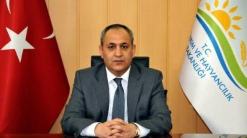 Tarıma Dayalı Ekonomik Yatırımlara Y&uuml;zde 50 Hibe Desteği